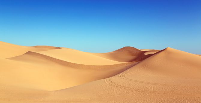 Sahara desert, sand, clean skyline, blue sky, dunes wallpaper