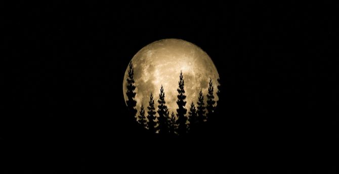 Minimal, full moon, trees wallpaper