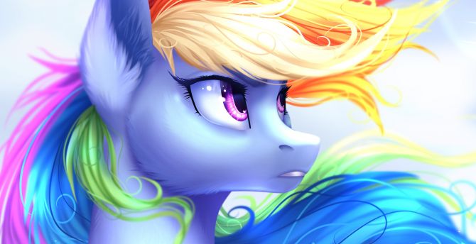 Horse, My Little Pony, rainbow dash, colorful, art wallpaper