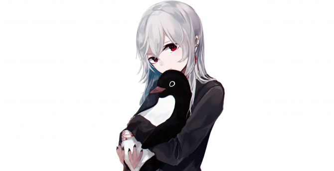 Anime girl, cute, white hair, original, penguin wallpaper