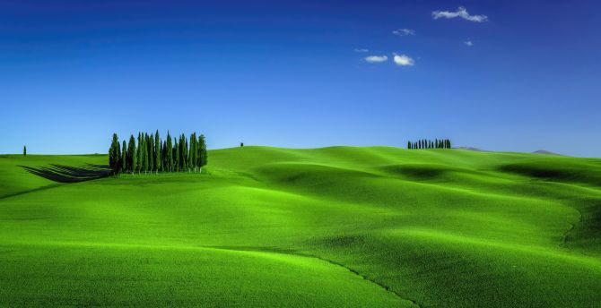 Green meadows, landscape, nature, Tuscany wallpaper