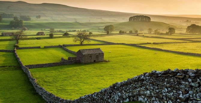 Farms, landscape, Yorkshire Dales national park, nature wallpaper