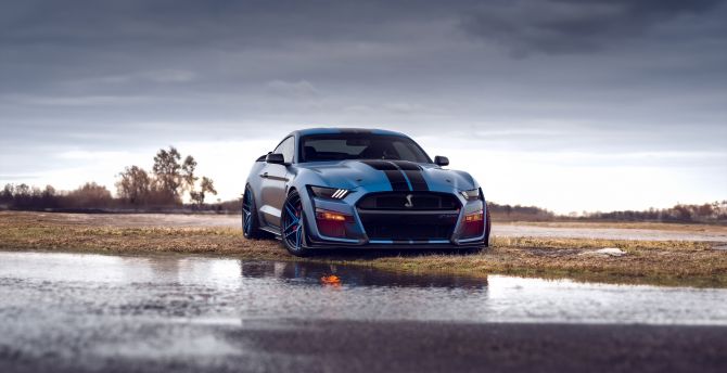 Blue Ford Mustang Shelby Gt500, 2023 car wallpaper