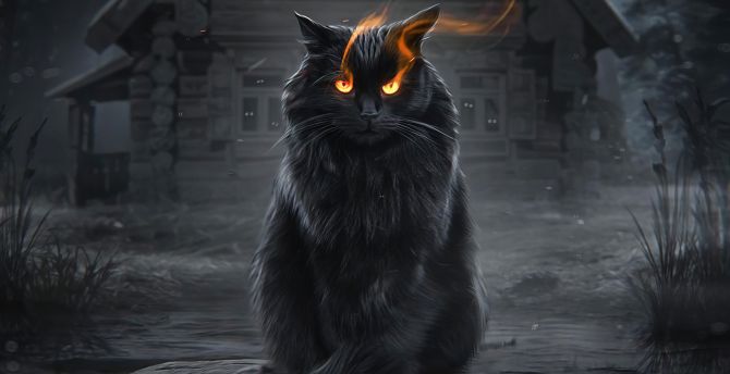 Black cat, fire eyes, fantasy wallpaper