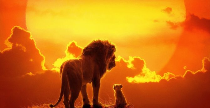 The lion king, lion and cub, 2019 movie wallpaper