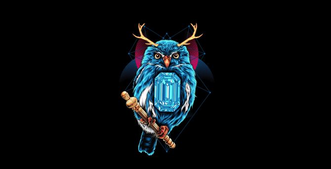 Blue Owl, dark, art wallpaper