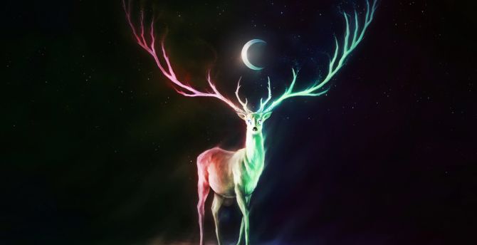 Balance of life, deer, colorful horns, fantasy, art wallpaper