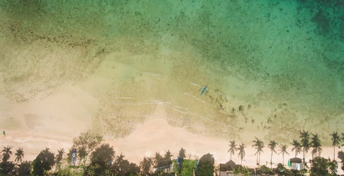 Green, beach, aerial view wallpaper