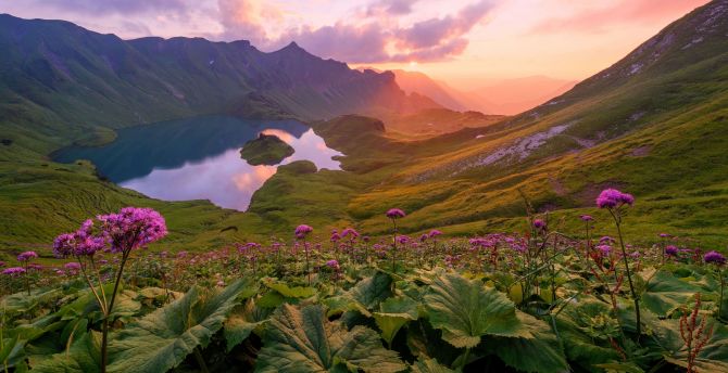 Mountains, lake, valley, pink flowers, valley, blossom wallpaper