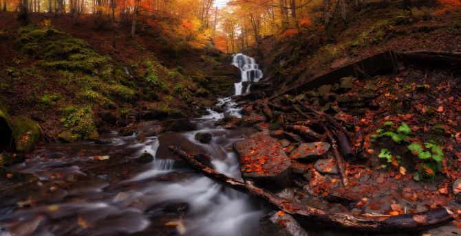 Autumn, forest, water current, waterfall, nature wallpaper