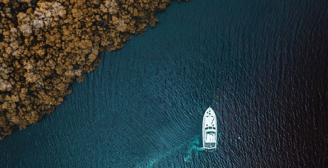 Aerial view, sea, forest, boat wallpaper