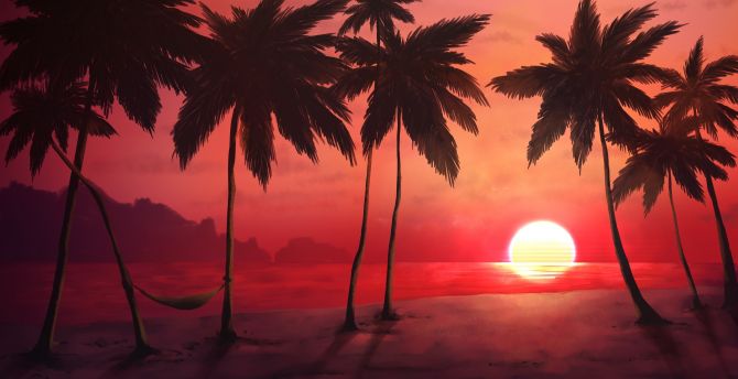 Sunset, tropical beach, relaxed, adorable, palm trees wallpaper