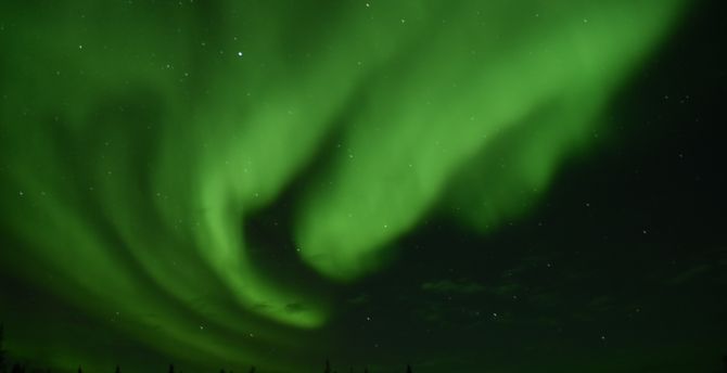Aurora, green light, sky, night, nature wallpaper