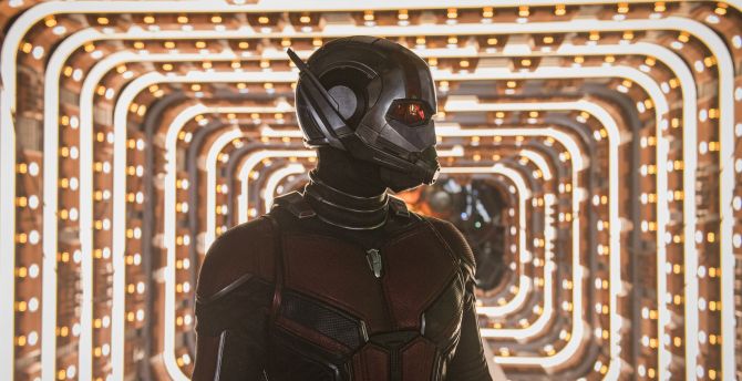 Ant-Man and The Wasp, movie, 2018 wallpaper
