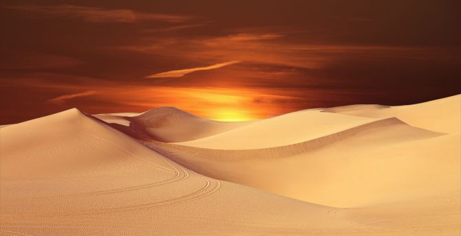 Desert, sunset, orange sky, landscape wallpaper