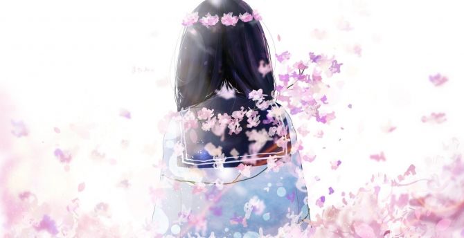 Cherry flowers, anime girl, original wallpaper