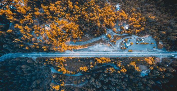 Highway, trees, aerial view wallpaper