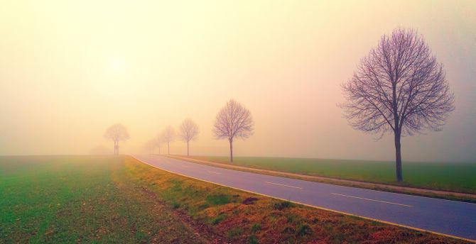 Foggy day, dawn, sunrise, highway, road, landscape wallpaper