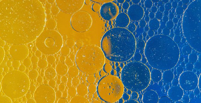 Bubbles, liquid, macro wallpaper