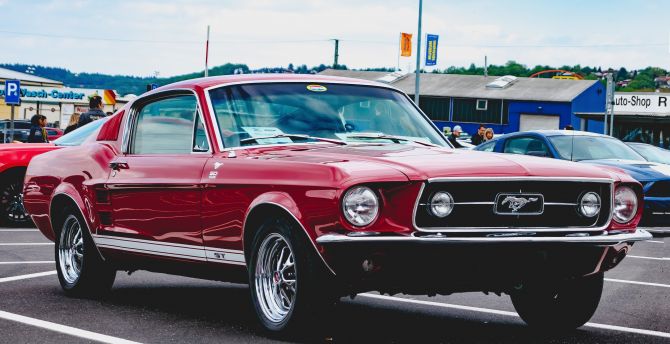 Red, classic, Ford Mustang, front wallpaper
