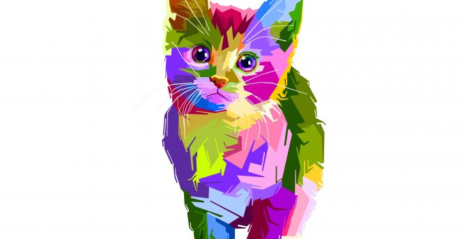 Colorful, kitten, art, cat wallpaper