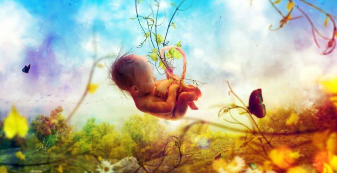 Fetus, nature, baby, dream, fantasy hd image, picture, background, 55b547 | wallpapersmug