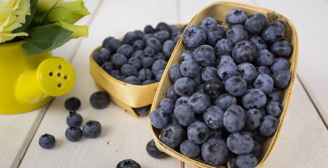 Fresh fruits, ripen, fruits, blueberry wallpaper