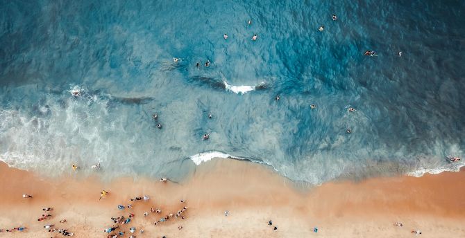 Beach, surfers, blue sea, aerial view wallpaper