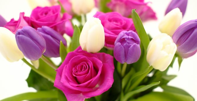 Bouquet, roses and tulips, flowers wallpaper