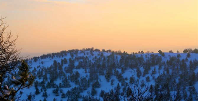 Winter, hilltop, sunset, nature wallpaper