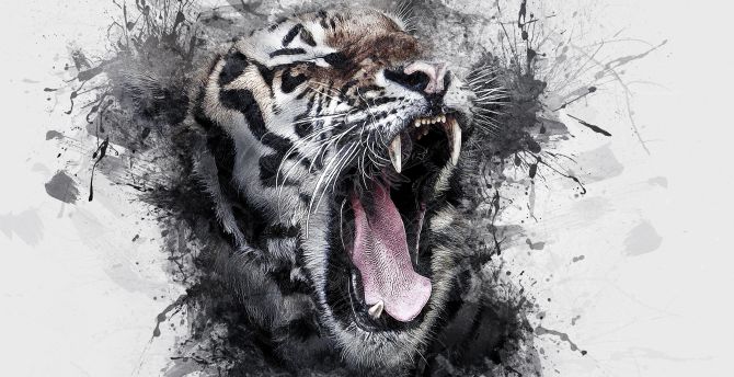 Art,  tiger, roar, muzzle wallpaper