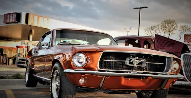 Front, Ford Mustang, muscle car wallpaper
