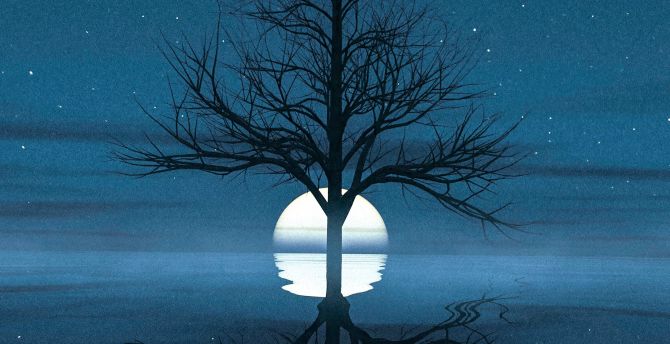 Moon set behind tree, reflections, lake, silhouette wallpaper