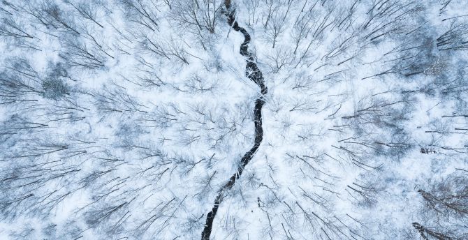Aerial view, white forest, stream, winter wallpaper