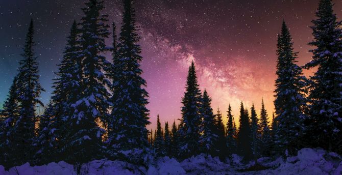 Winter, beautiful night, forest, galaxy, nature wallpaper