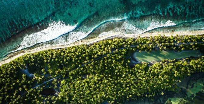 Aerial view, Maldives, nature, palm trees, coast wallpaper