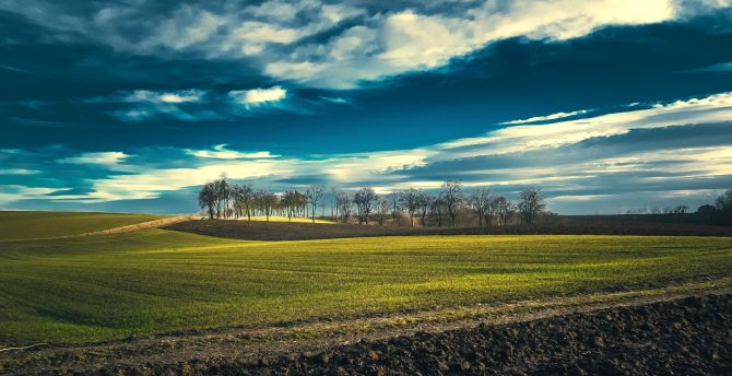 Field, landscape, spring, blue sky, sunny day wallpaper