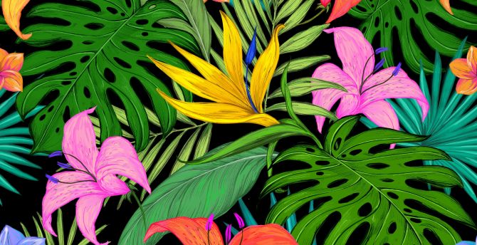 Pattern, tropical, flowers, leaves wallpaper