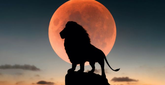 Lion king, full red moon, silhouette wallpaper