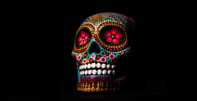 Skull, colorful, minimal, art wallpaper