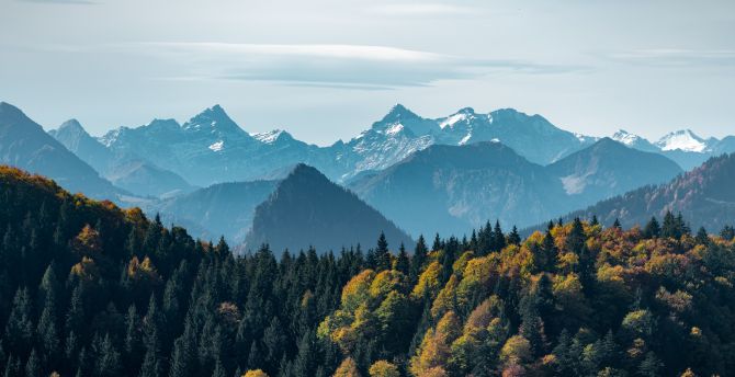 Adorable view, mountains and green trees, forest wallpaper