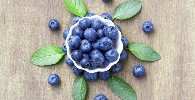 Fresh blueberry bowl, summer wallpaper