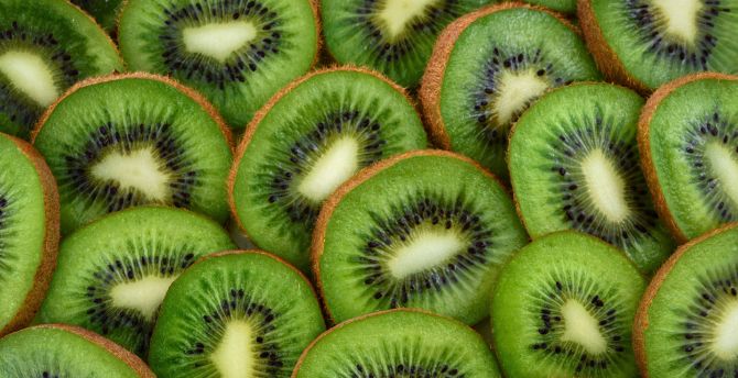 Slices, fruits, kiwifruit wallpaper