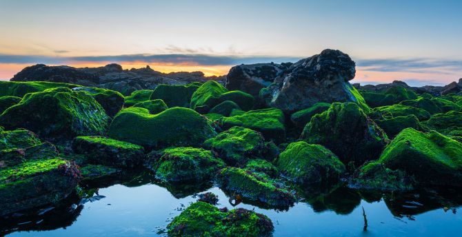 Coast, green rocks, sunset, nature wallpaper