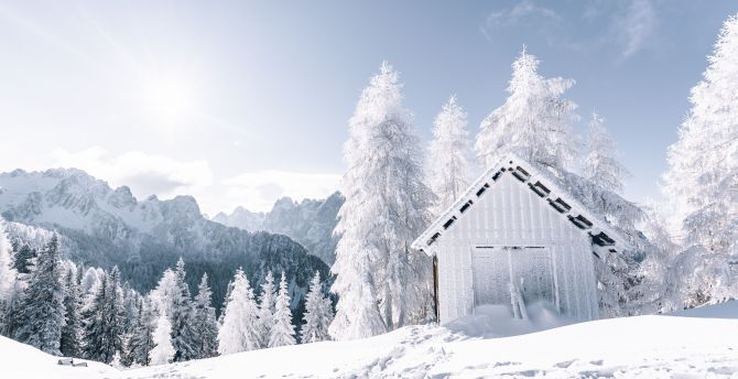 Winter, landscape, forest, white tree, snowfrost, hut wallpaper