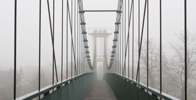 Suspension bridge, bridge, winter, foggy day wallpaper