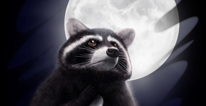 Raccoon, moon, spoon, art wallpaper