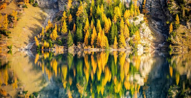 Adorable reflection, nature, trees, autumn wallpaper