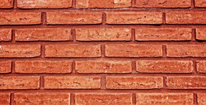 Bricks wall, texture, surface wallpaper