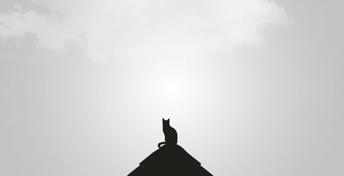 Silhouette, minimal, cat, rooftop wallpaper